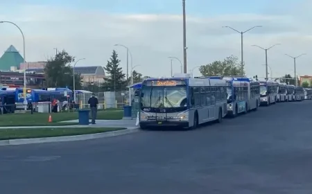 Two Stabbed in West Edmonton Mall Phone Robbery, Three Arrested