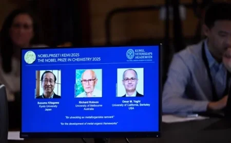 Trio Awarded Nobel in Chemistry for Innovations in Materials Science