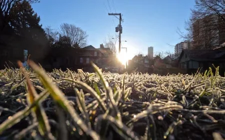 Toronto Braces for Frost Risk as Fall Weather Approaches