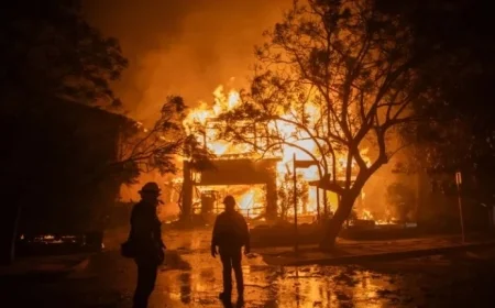 California Wildfire: Arrest Made in Deadly Palisades Fire, Source Confirms