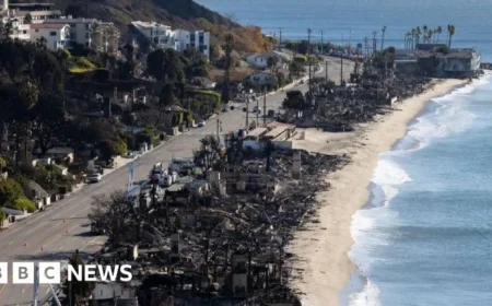 ChatGPT Image Helps Investigators Capture Pacific Palisades Fire Suspect