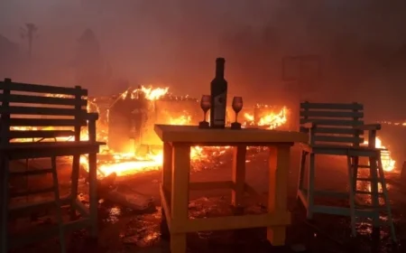 Suspect Arrested for Allegedly Starting January 7 LA Palisades Fire