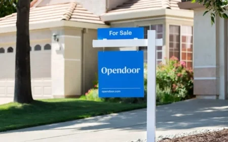 Meme ETF Returns: Is It Too Late to Invest?