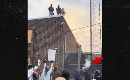 ICE Agents Caught on Video Shooting Chicago Priest with Pepper Ball