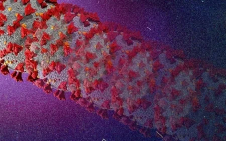 What Canadians Should Know About the New ‘Frankenstein’ COVID-19 Variant