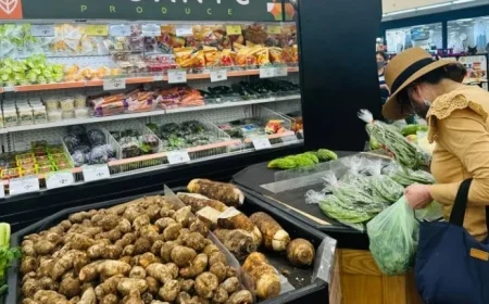 Trump Administration to Release Delayed Inflation Data Impacting Social Security COLA