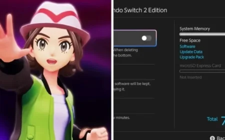 Switch 2 Gamers Concerned Over Pokémon Legends Z-A File Size Reveal