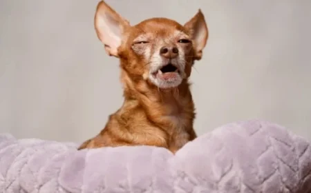 FTSE 100 Closes Record Week on a Quiet Note