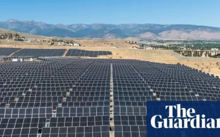 Trump Administration Halts Major Solar Project, Impacting Renewable Energy Progress