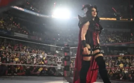 ABBA Mania Tribute Thrills Dôme de Paris Audience