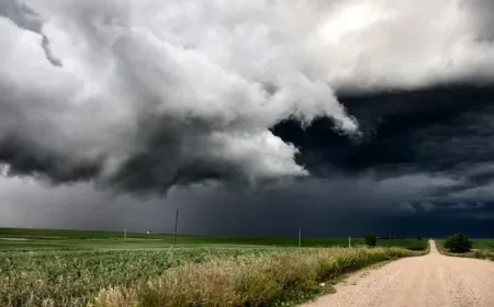 CBC Maritimes Issues Storm Warning for Province