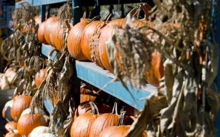 Thanksgiving: What’s Open or Closed?