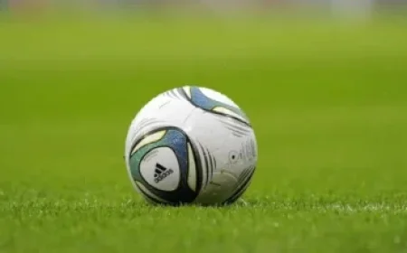 Panthers Thrive as Newcomers Seamlessly Integrate