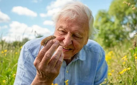 David Attenborough Films Surprising BBC Project for 100th Birthday Celebration