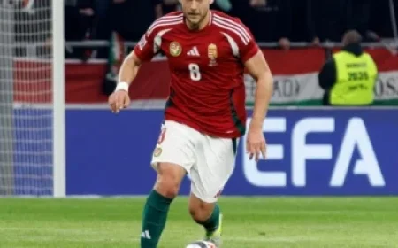 Investigation Ongoing After Riot and Double Shooting at LSU Campus