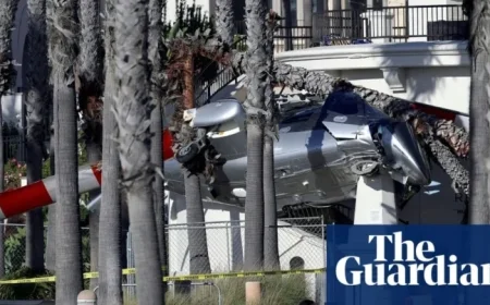 Helicopter Crashes into Palm Trees at Busy California Beach