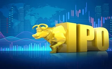 Goldman Sachs Selects Top Pick Among Two New IPO Stocks