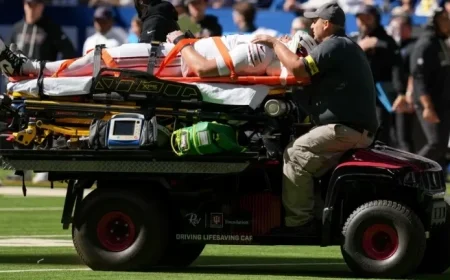 Travis Vokolek Suffers Neck Injury, Stretchered Off During Cardinals vs. Colts