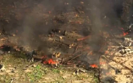 Munitions Factory Explosion Kills 16, Leaves No Survivors