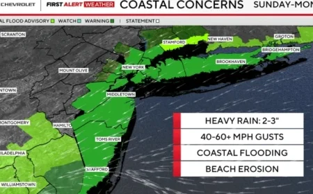 Nor’easter Prompts Emergency Declaration for NYC, Long Island, Westchester