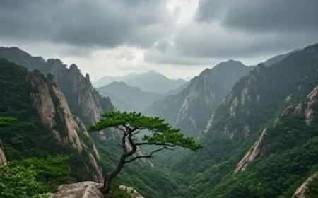 Weather Forecast and Rainfall Details