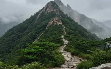 The weather forecast indicates rain continuing until noon