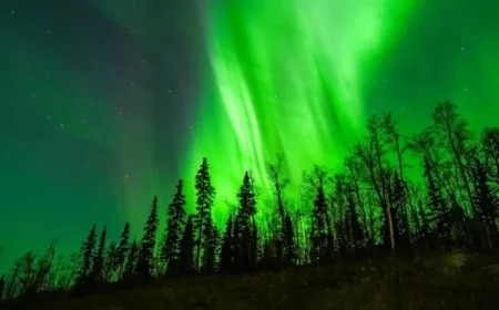 Aurora Borealis Visibility: Northern Lights May Illuminate These States Tonight