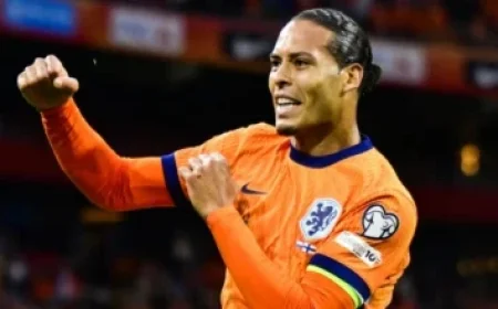 Study Reveals Toxic Metal Levels in El Mar Menor Exceed Limits