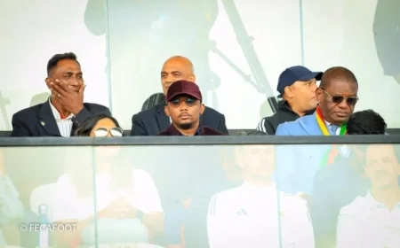 Cameroun vs. Angola: What If the Lions Don’t Win?