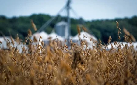 Trump Initiates New Farm Bailout Plan