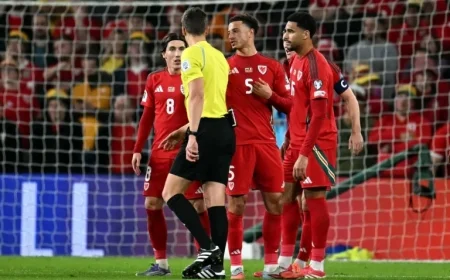 Wales Fans React to Leeds United’s Ethan Ampadu Penalty Controversy