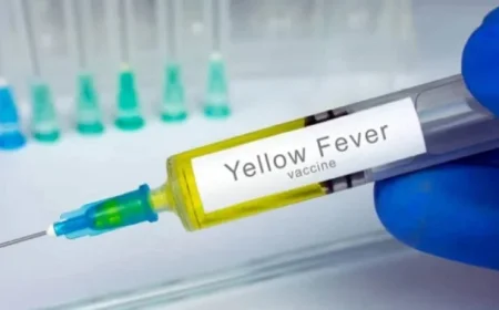 Costa Rica Confirms First Yellow Fever Case in Seven Decades