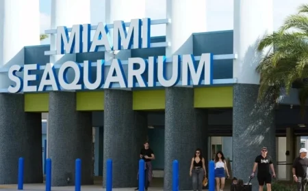 Miami Seaquarium Closes Amidst Controversy and Cherished Memories