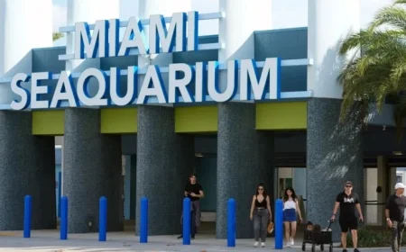 Miami Seaquarium Closes Amid Longstanding Animal Welfare Concerns