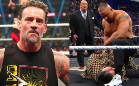 CM Punk and Seth Rollins Clash After WWE Raw in Perth