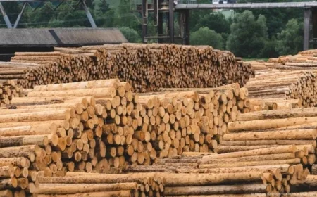 Trump Implements Tariffs on Timber and Furniture Imports