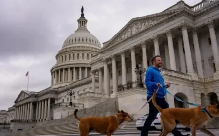 Senate Prepares Eighth Vote to End Ongoing Government Shutdown