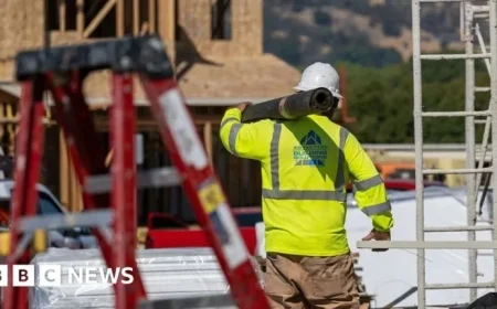 Trump Implements Tariffs on Kitchen Cabinets and Timber