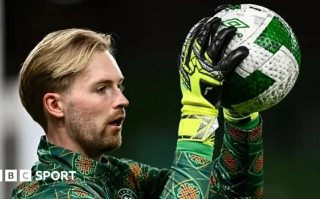 Live Updates: Republic of Ireland vs. Armenia in World Cup Qualifier