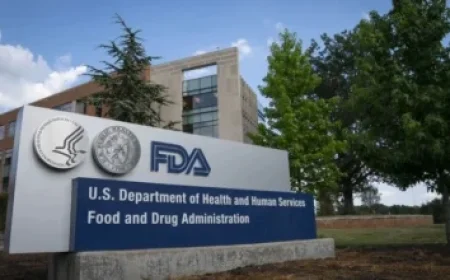 Stellantis Prioritizes Other Investments Over EVs in $13B US Plan