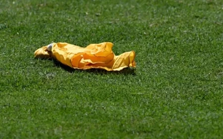Flags Fly High in Packers vs. Cardinals Matchup