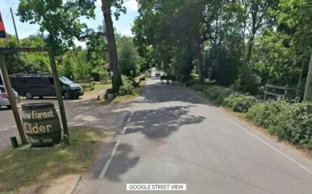 Couple Discovered Dead in Camper After New Forest Cider Festival