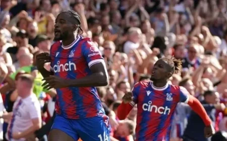 Wilfried Zaha Criticizes Crystal Palace’s Mateta for Rejecting France Ambitions