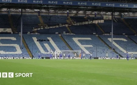 Sheffield Wednesday Faces Imminent Winding-Up Petition in Championship Crisis