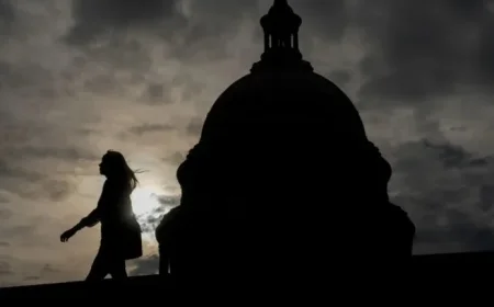 Federal Workers Document Government Shutdown on TikTok