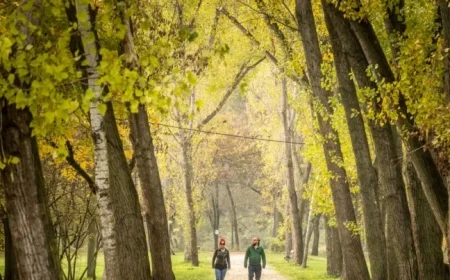 Budapest Weekend Events: Your Guide for October 17-19