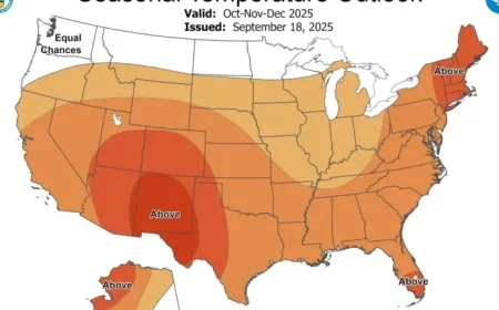 Florida Winter Forecast: AccuWeather, NWS, Almanac Predict Cold Return