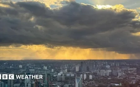 Sunny Spells Set to Replace Gloomy Skies with Weekend Rain