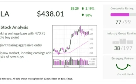 Tesla Stock Highlights Early Buy Point Amid Potential Risks