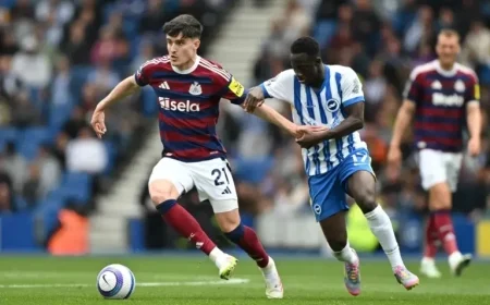 Watch Brighton vs Newcastle: Premier League Live Stream and TV Channel
